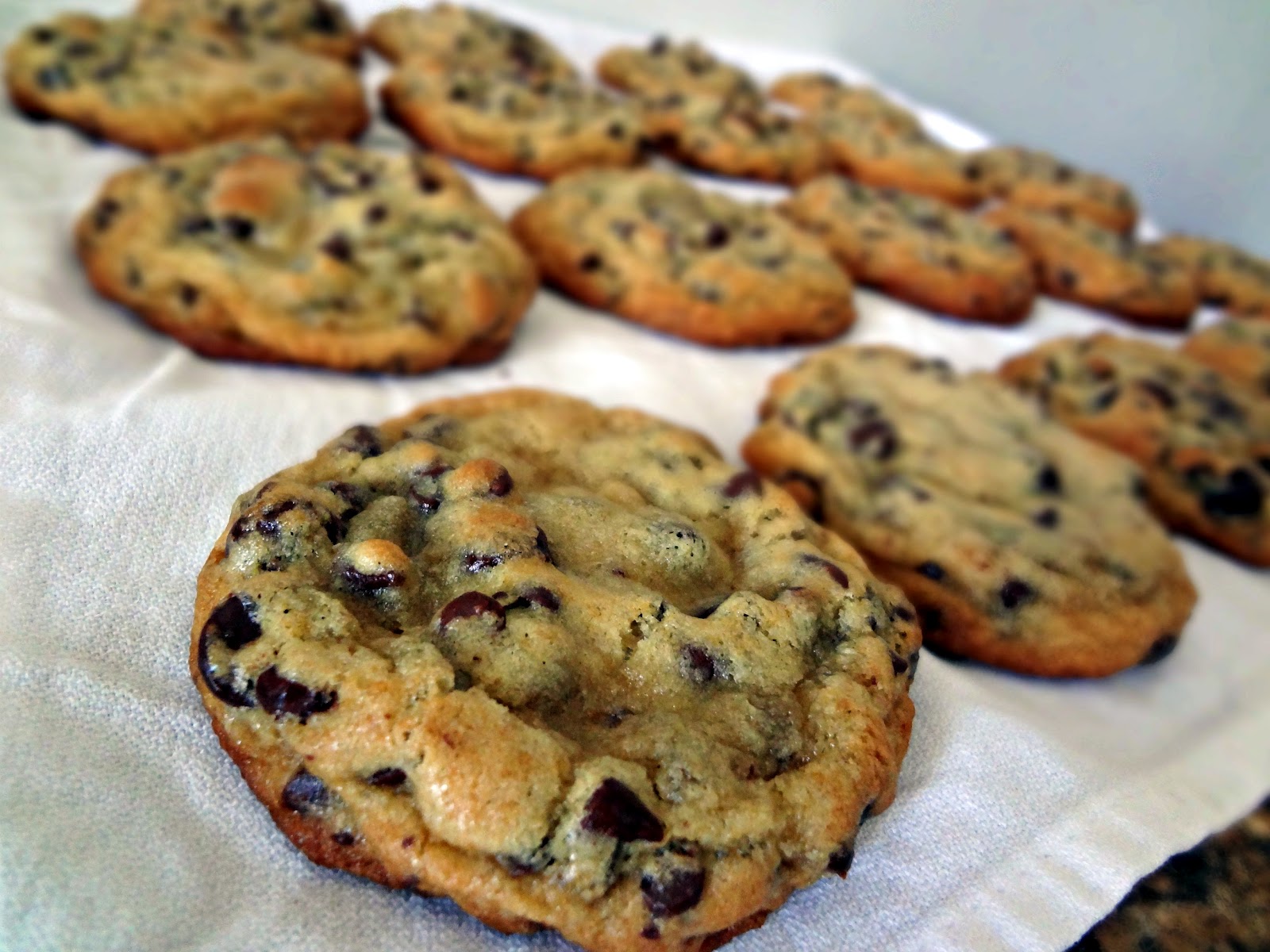 marijuana cookie recipe with oil