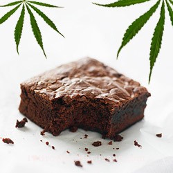 cannabis fudge
